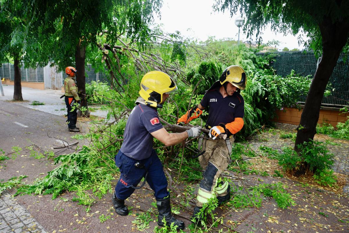 Diversos arbres han caigut a causa dels forts aiguats - Juanma Peláez Diversos arbres han caigut a causa dels forts aiguats
