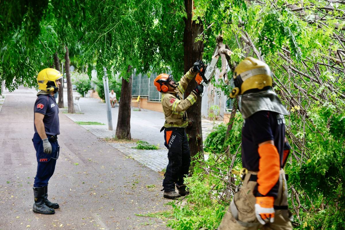 Diversos arbres han caigut a causa dels forts aiguats - Juanma Peláez Diversos arbres han caigut a causa dels forts aiguats
