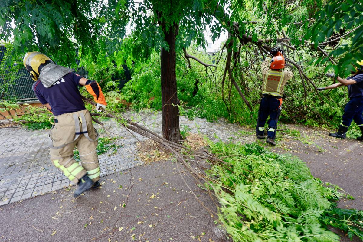 Diversos arbres han caigut a causa dels forts aiguats - Juanma Peláez Diversos arbres han caigut a causa dels forts aiguats