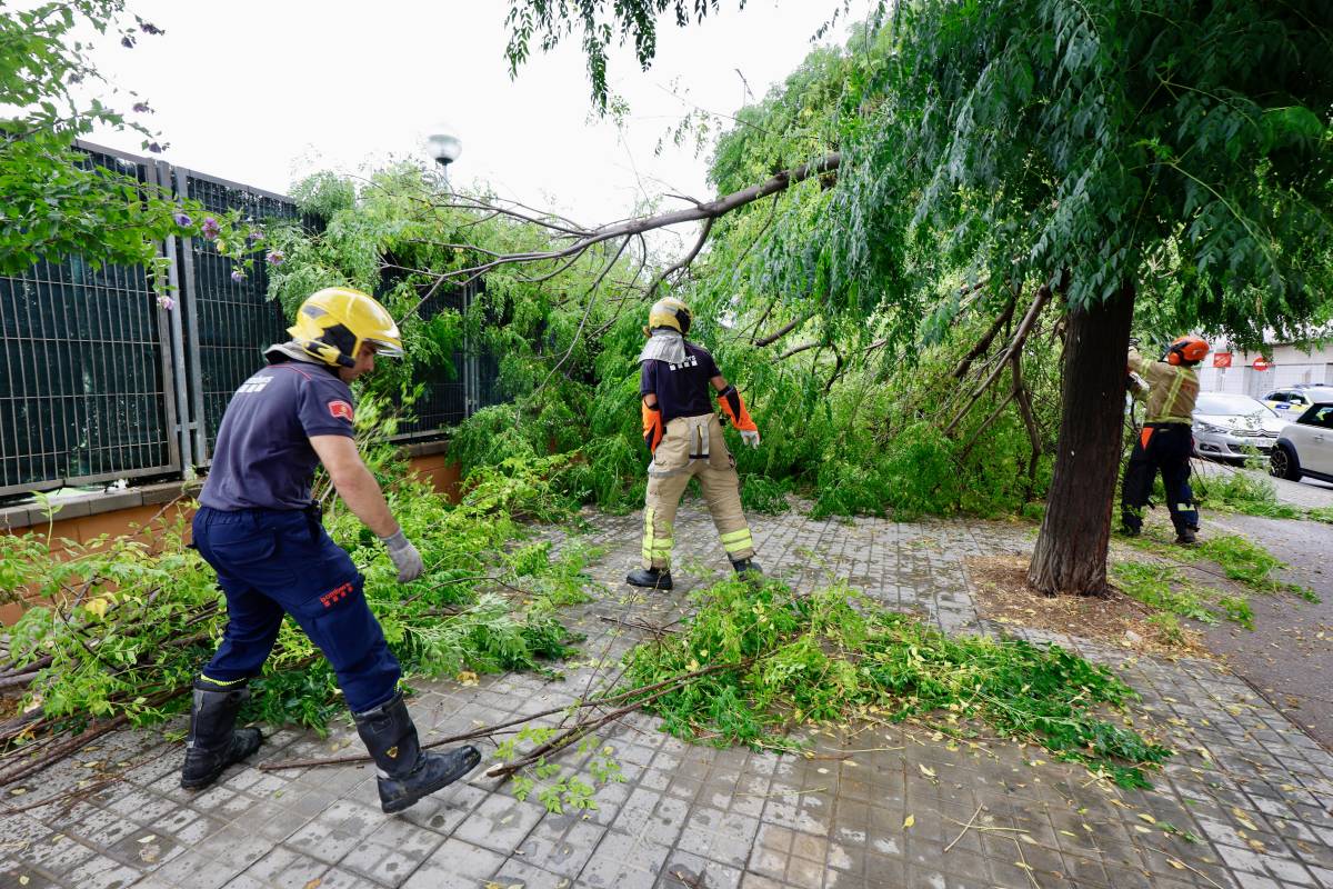 Diversos arbres han caigut a causa dels forts aiguats - Juanma Peláez Diversos arbres han caigut a causa dels forts aiguats