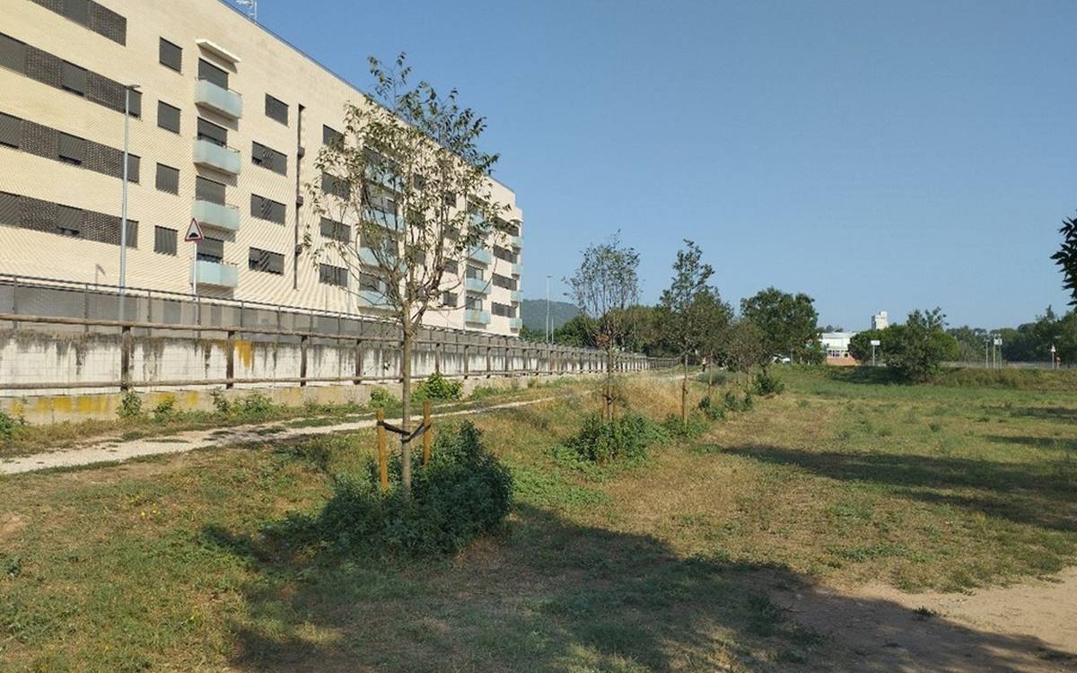 Sant Joan de Vilatorrada impulsa una nova plantació d'arbres per mitigar el canvi climàtic