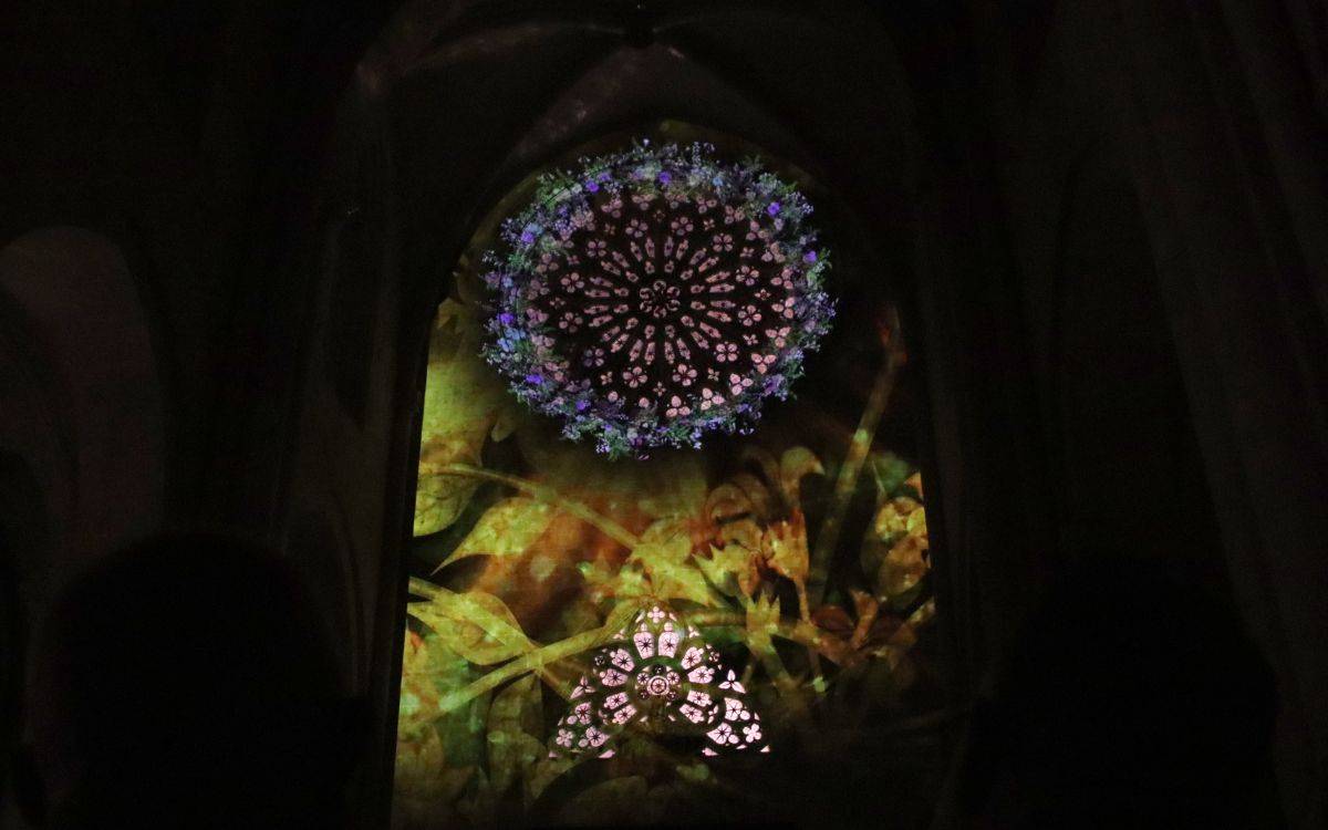 La Catedral de Tarragona estrena l'espectacle audiovisual «El Camí de la Llum»