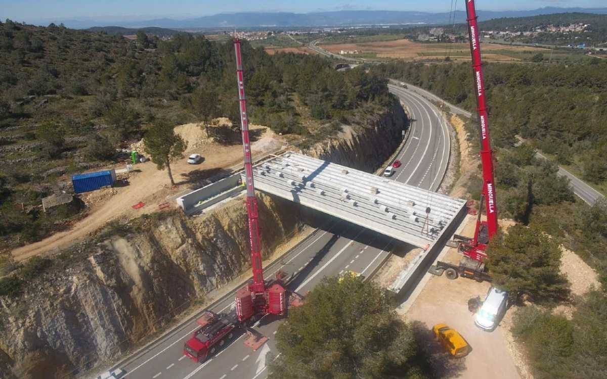  Construeixen un pas de fauna de grans dimensions sobre la carretera C-51 a Rodonyà