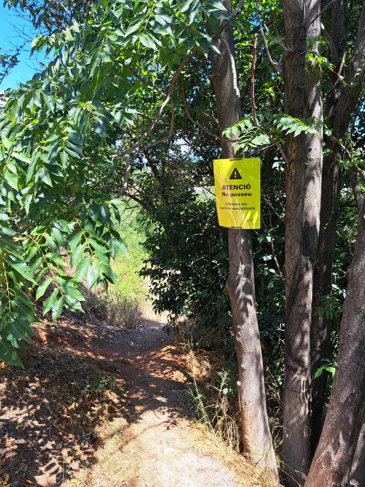 Senyalitzen com a perillós el camí privat del Ripoll on va morir una dona
