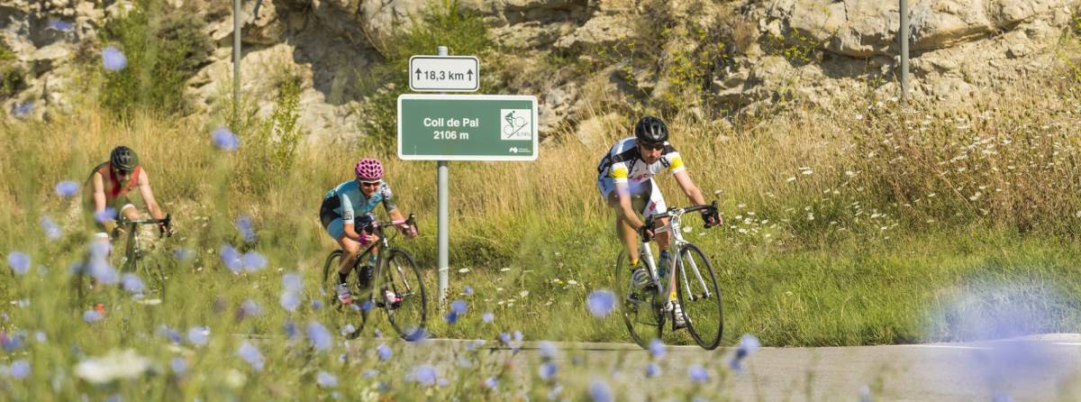 Vuit rutes per recórrer el Berguedà amb la bicicleta de carretera