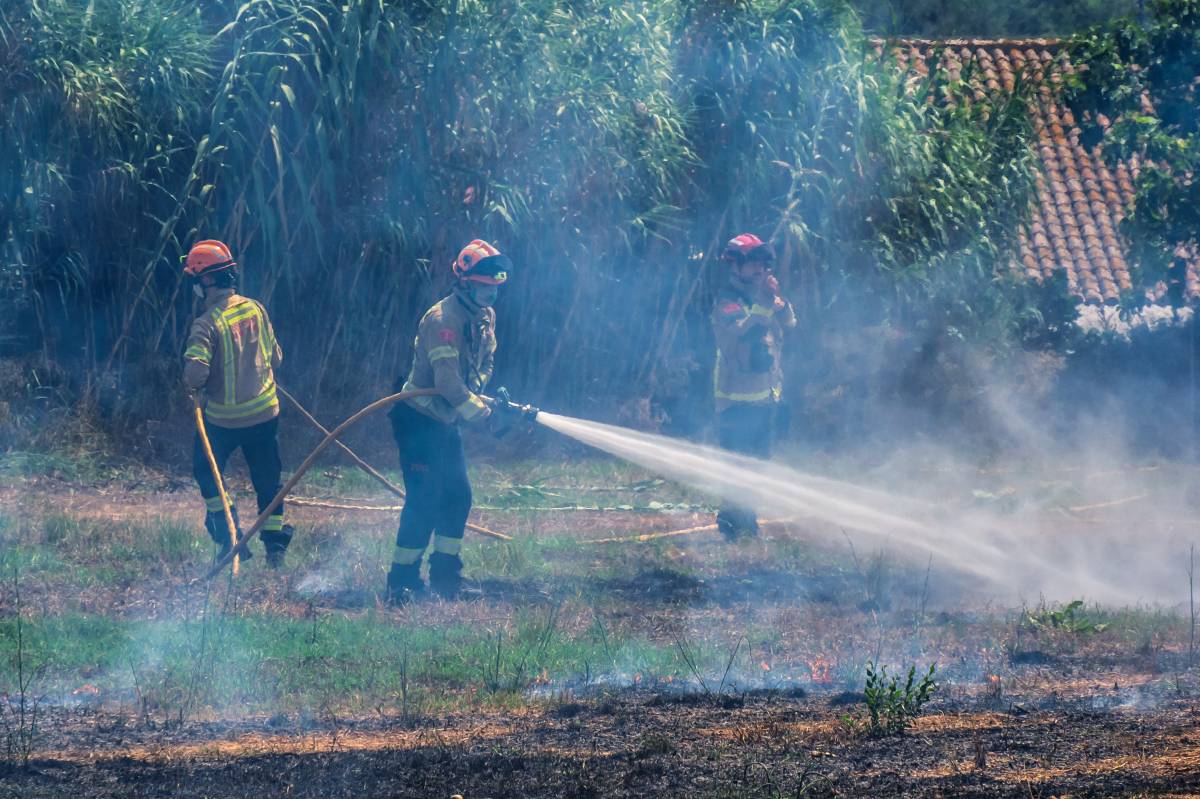 Incendi entre el camí de Can Quadres i el riu Ripoll - JUANMA PELÁEZ Incendi entre el camí de Can Quadres i el riu Ripoll