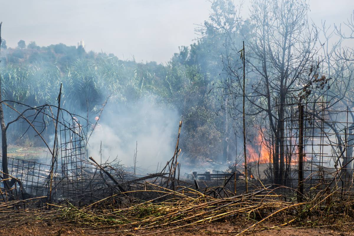 Incendi entre el camí de Can Quadres i el riu Ripoll - JUANMA PELÁEZ Incendi entre el camí de Can Quadres i el riu Ripoll