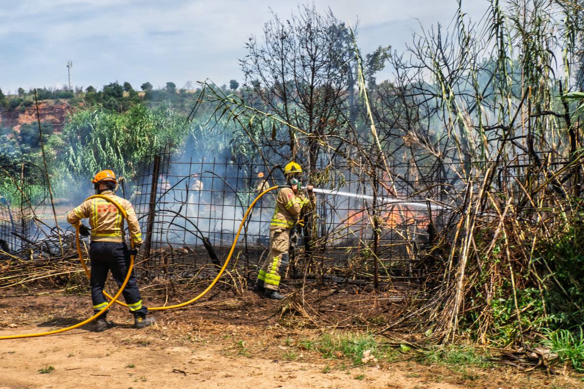Incendi entre el camí de Can Quadres i el riu Ripoll - JUANMA PELÁEZ Incendi entre el camí de Can Quadres i el riu Ripoll