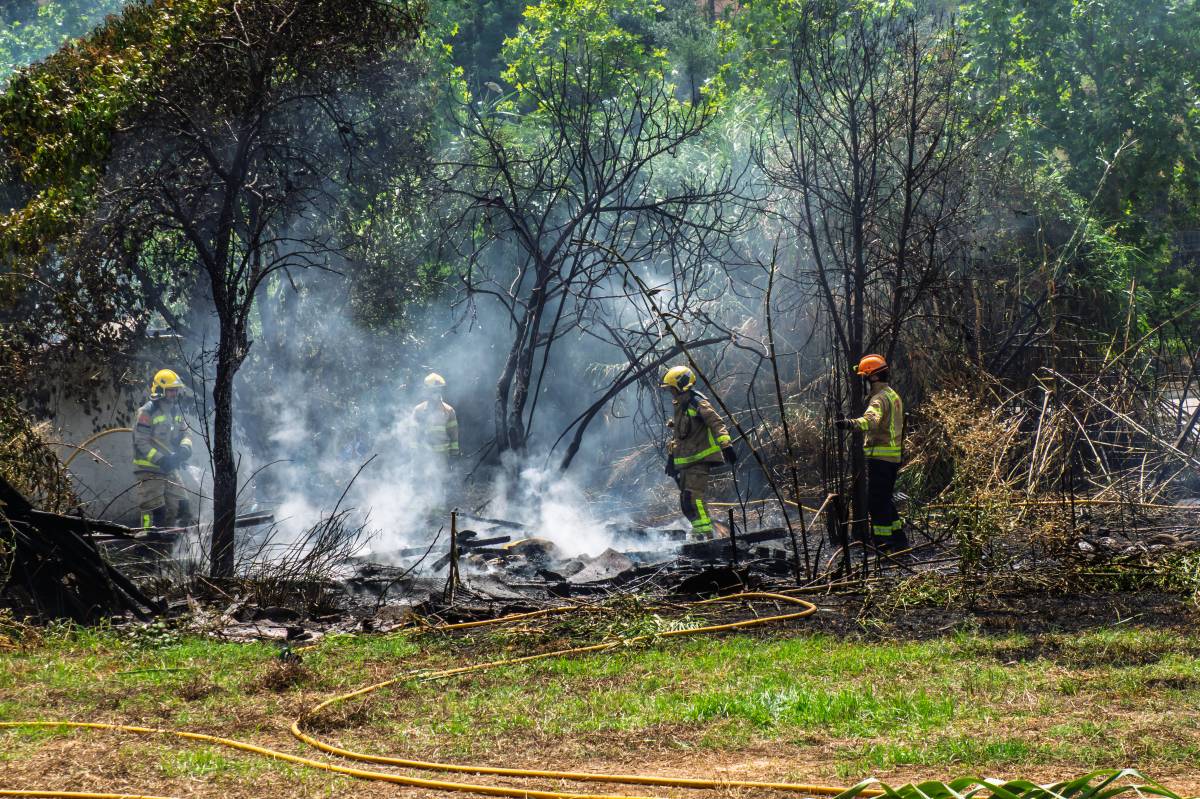Incendi entre el camí de Can Quadres i el riu Ripoll - JUANMA PELÁEZ Incendi entre el camí de Can Quadres i el riu Ripoll