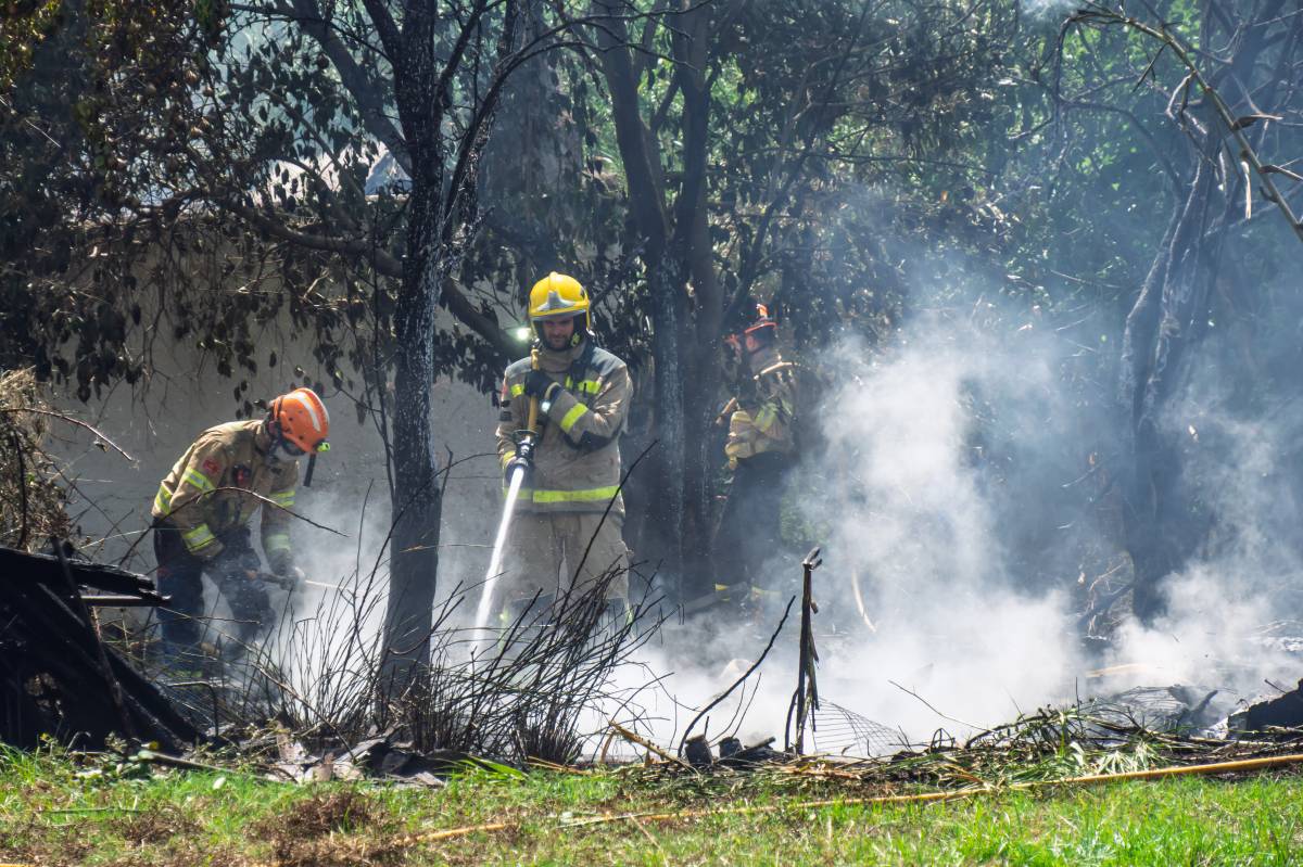 Incendi entre el camí de Can Quadres i el riu Ripoll - JUANMA PELÁEZ Incendi entre el camí de Can Quadres i el riu Ripoll