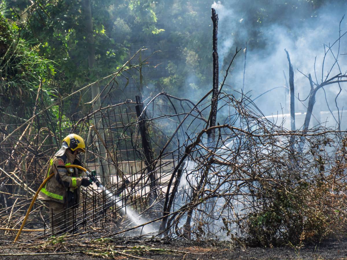Incendi entre el camí de Can Quadres i el riu Ripoll - JUANMA PELÁEZ Incendi entre el camí de Can Quadres i el riu Ripoll