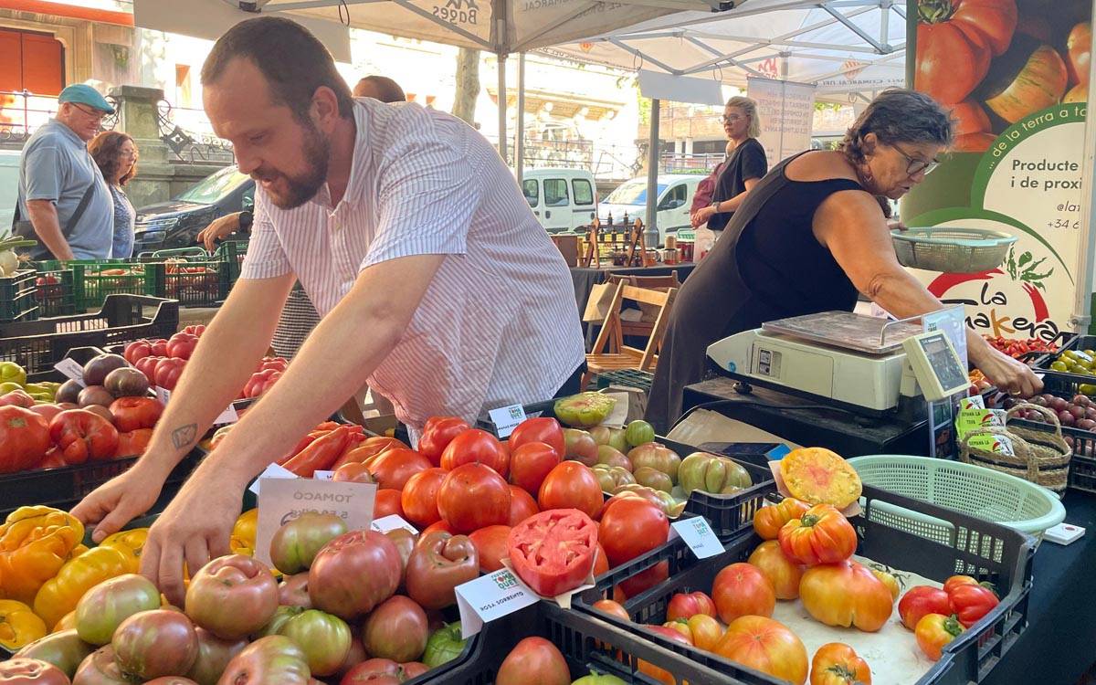 El Mercat del Tomàquet tanca una Festa del Tomàquet del Bages marcada per l'èxit de públic i varietat