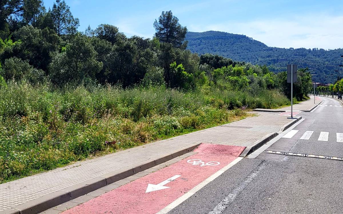 L'Institut Bages Sud es quedarà a Castellbell i el Vilar amb un nou edifici al Borràs