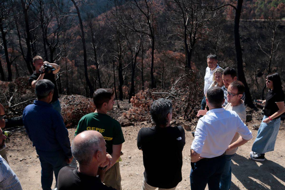 Les actuacions a la zona cremada de l'incendi de Paüls començaran a la tardor