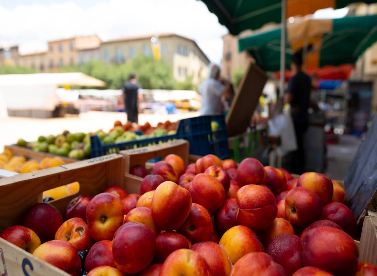 A Catalunya encara no hi ha una normativa específica per als mercats de pagès - A Catalunya encara no hi ha una normativa específica per als mercats de pagès