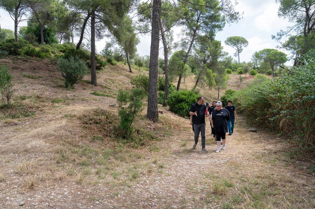 Comencen els treballs a la franja de baixa combustibilitat de les Fonts