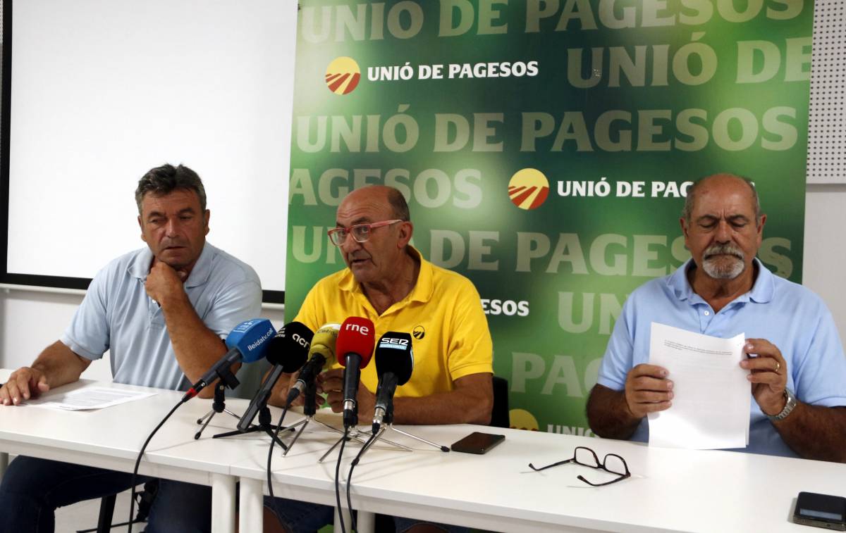 Unió de Pagesos impugna 22 projectes solars per l’impacte sobre terres de cultiu