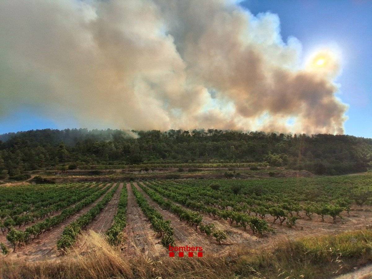 Estabilitzat l'incendi de Fulleda, que ha afectat 13,5 hectàrees de superfície forestal