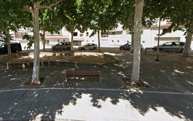 Torelló farà actuacions per foragitar els estornells de la plaça Doctor Fleming