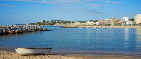 Quines són les platges de Terrassa?: 