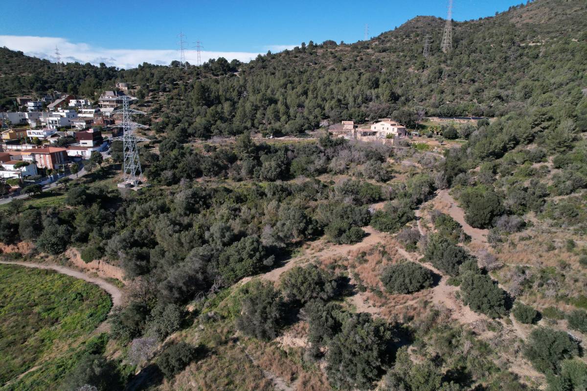Collserola recuperarà 150 hectàrees de conreus per protegir-se dels grans incendis forestals