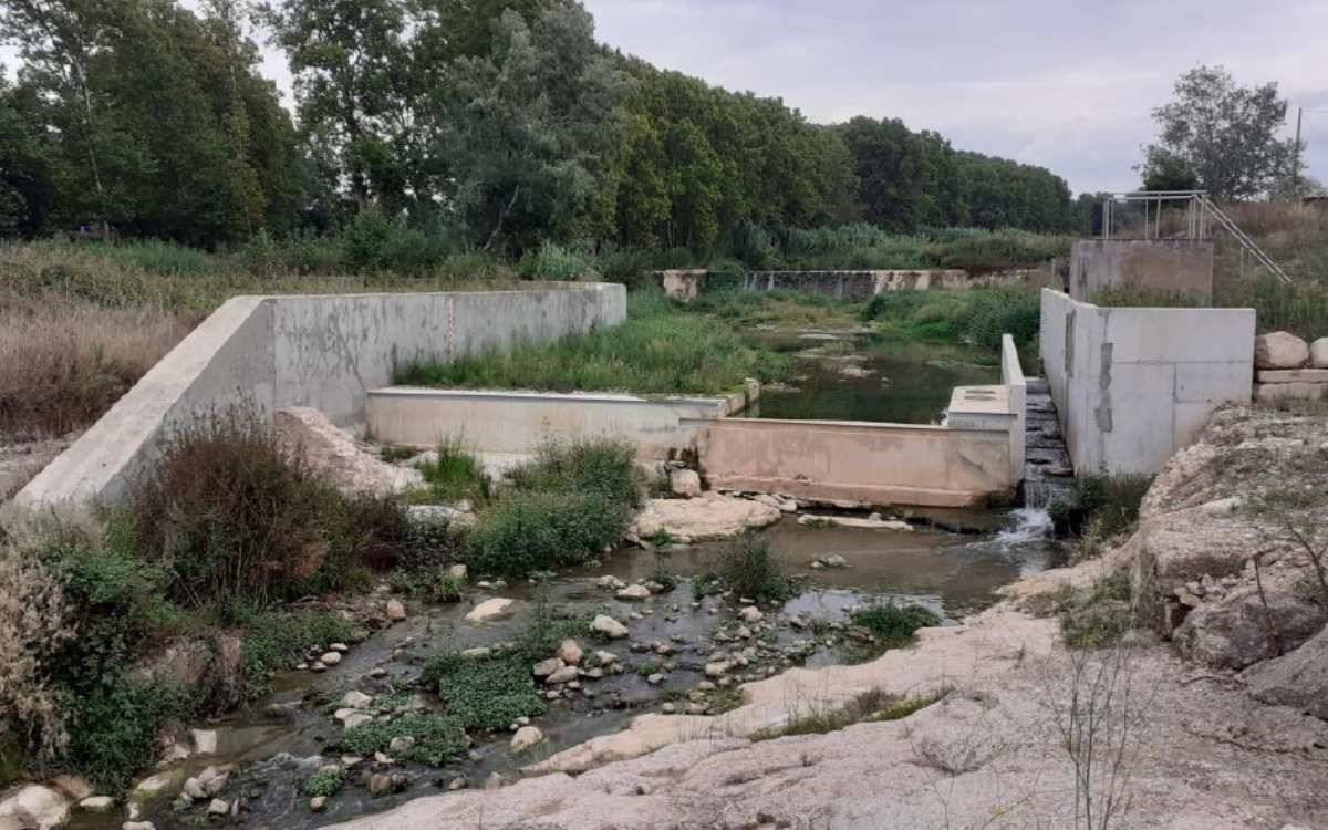 Milloren el pas de peixos i el punt de control de l'aigua al riu Francolí a Montblanc 