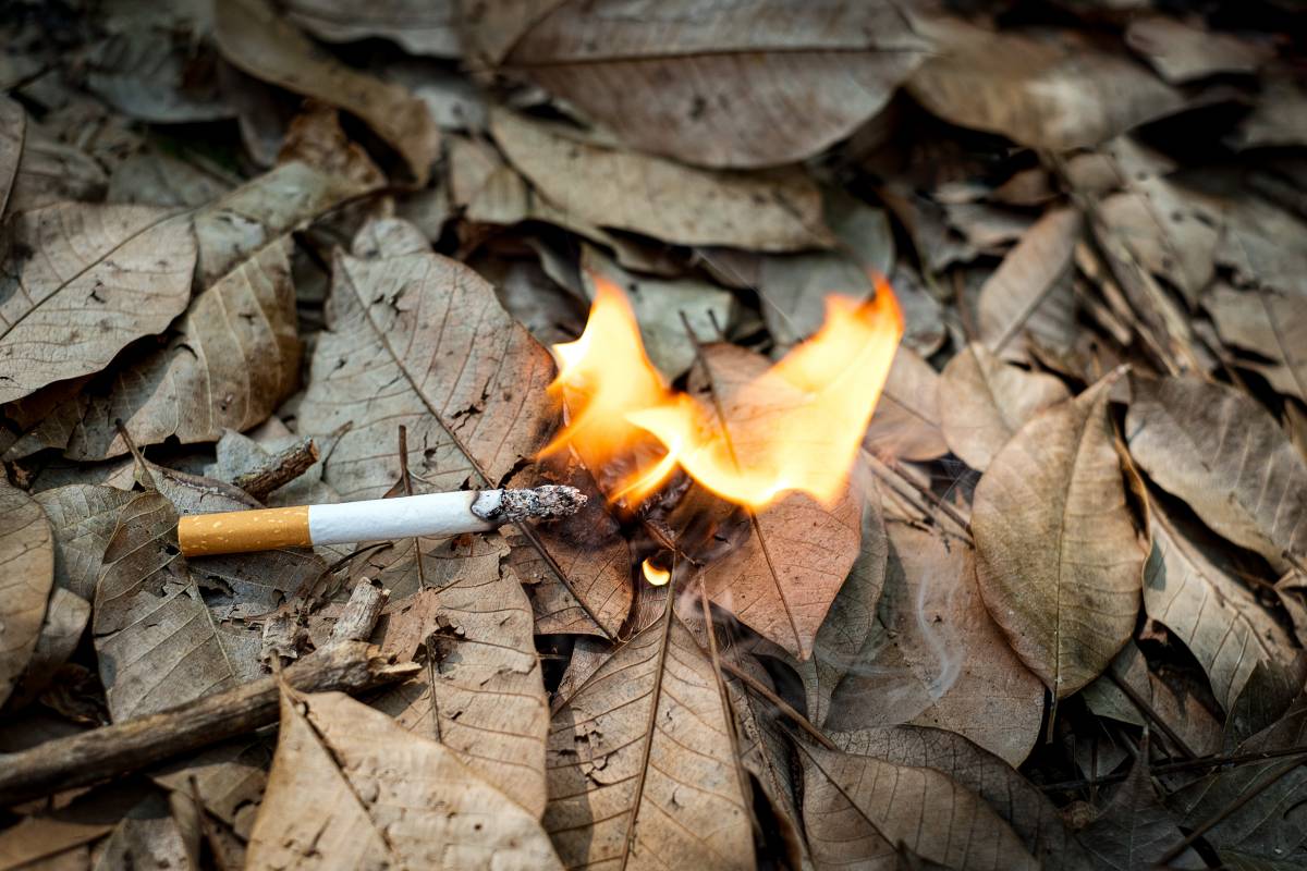 Una cigarreta mal apagada pot provocar un incendi - Una cigarreta mal apagada pot provocar un incendi