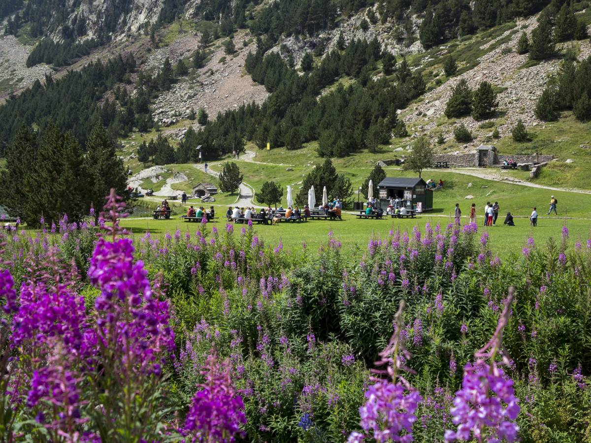 Natura, aventura i tranquil·litat: aquest estiu la Vall de Núria t’espera