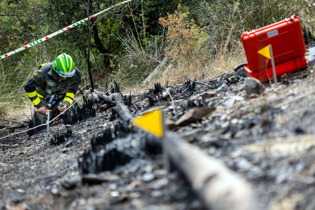 Els Agents Rurals investiguen les causes dels incendis - Hugo Fernández