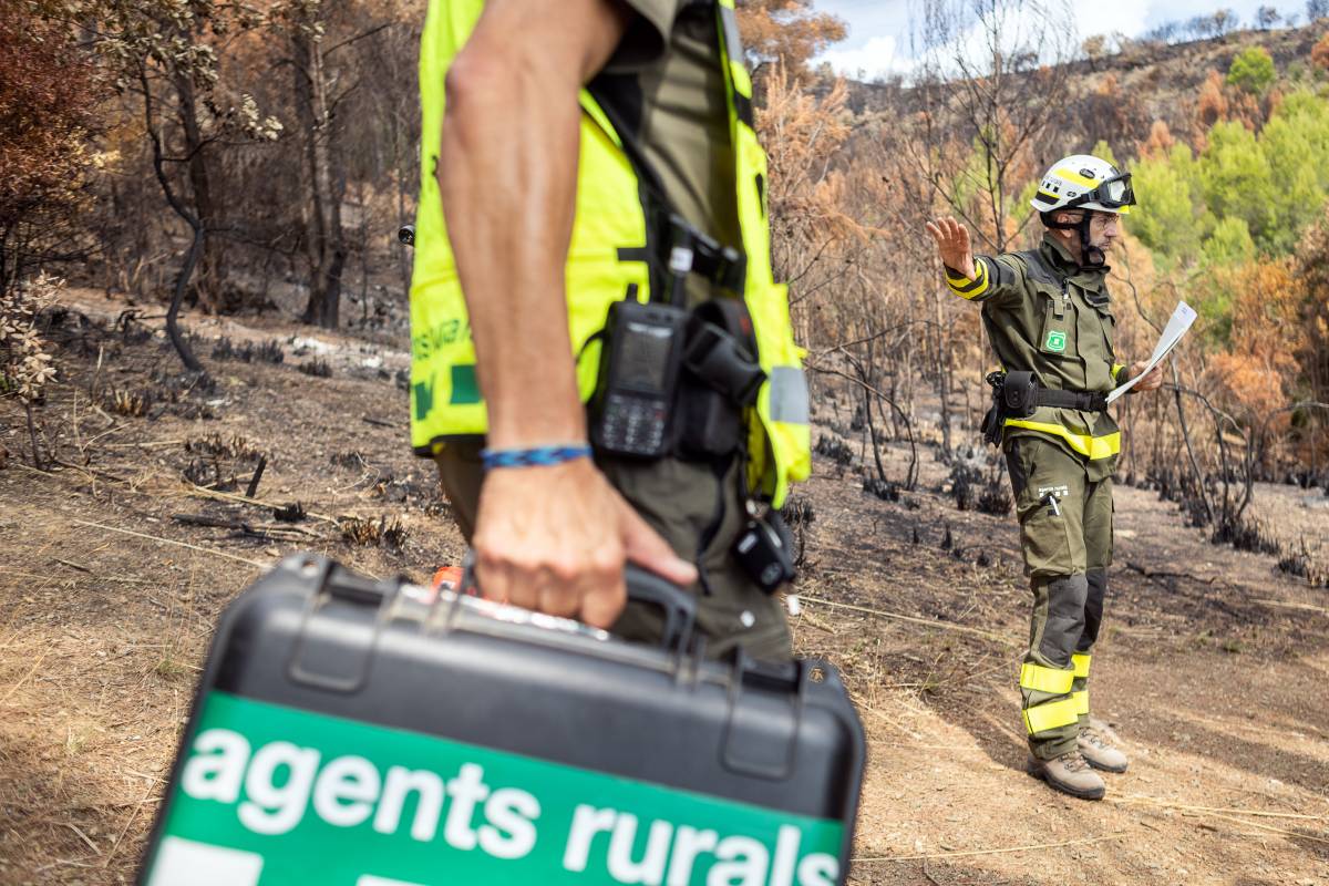 Els Agents Rurals investiguen les causes dels incendis - Hugo Fernández