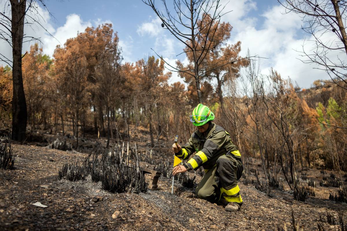 Els CSI dels incendis: així investiguen els Agents Rurals les causes del foc