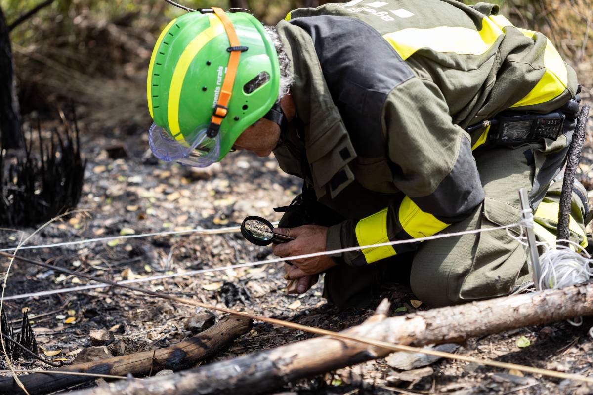Els Agents Rurals investiguen les causes dels incendis - Hugo Fernández