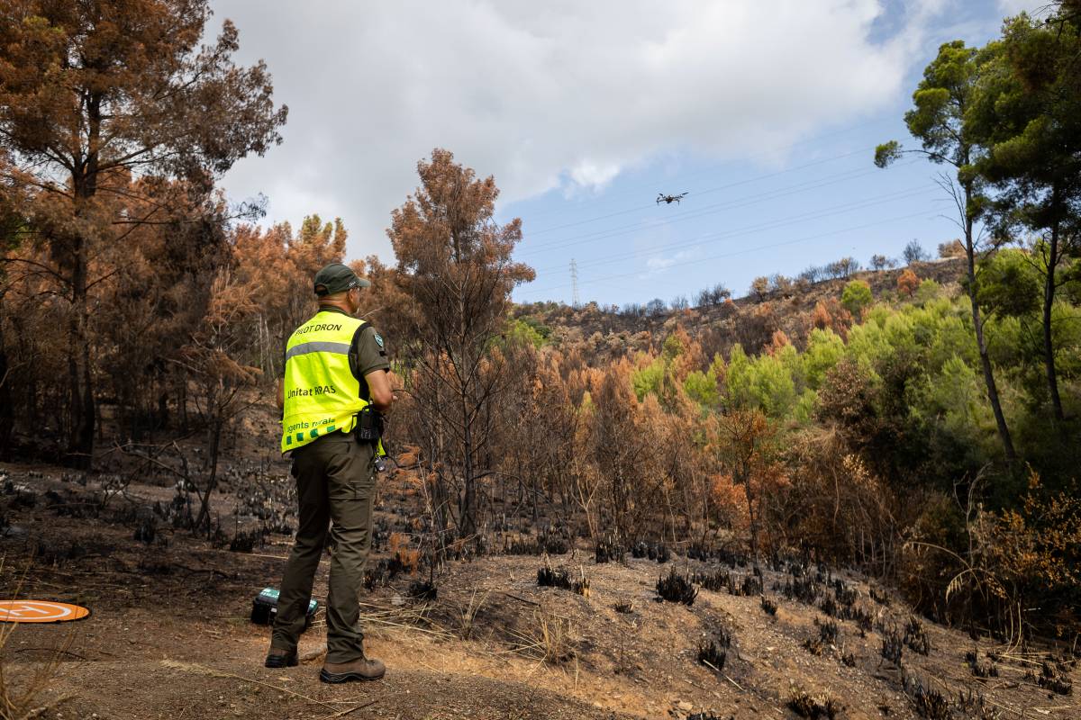 Els Agents Rurals investiguen les causes dels incendis - Hugo Fernández Els Agents Rurals investiguen les causes dels incendis