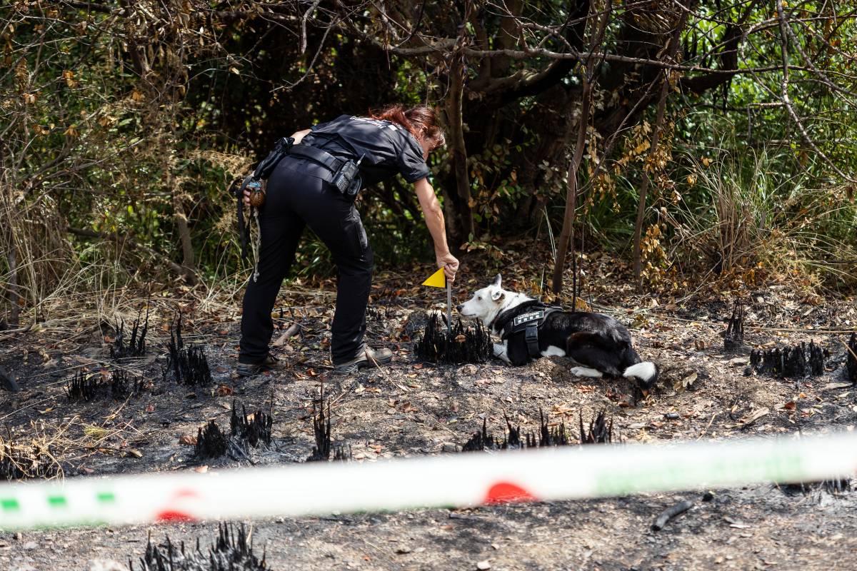 Els Agents Rurals investiguen les causes dels incendis - Hugo Fernández Els Agents Rurals investiguen les causes dels incendis