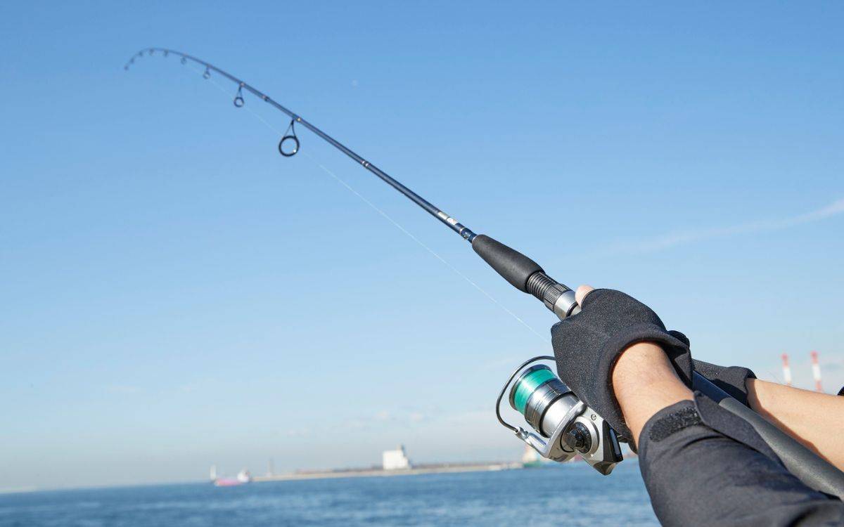 Tarragona estrenarà noves restriccions per a la pesca recreativa a partir del setembre