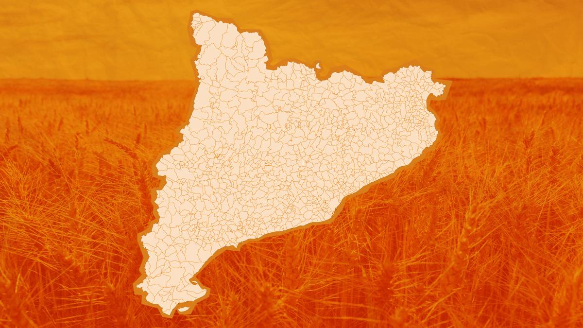 Què és una temperatura extrema? Consulta-les municipi a municipi