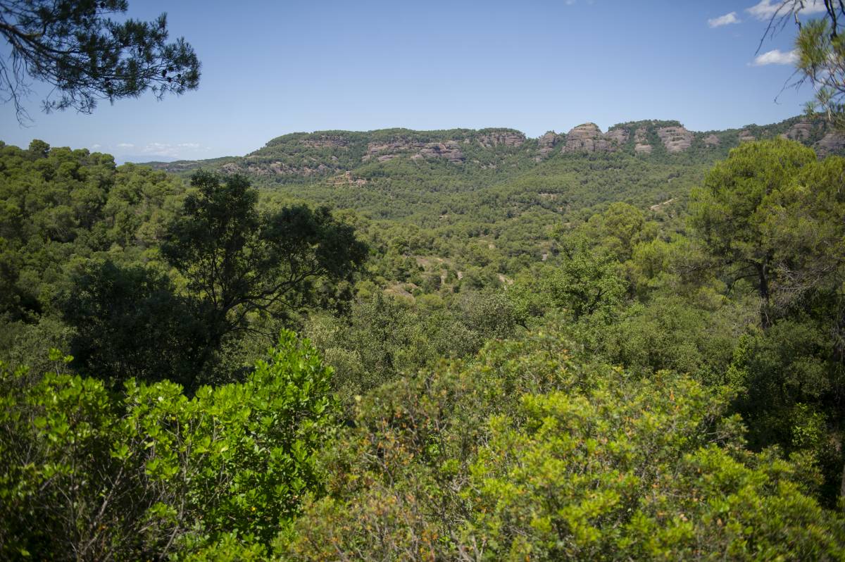 El parc de Sant Llorenç escup l’aigua per la seva geologia i per com plou