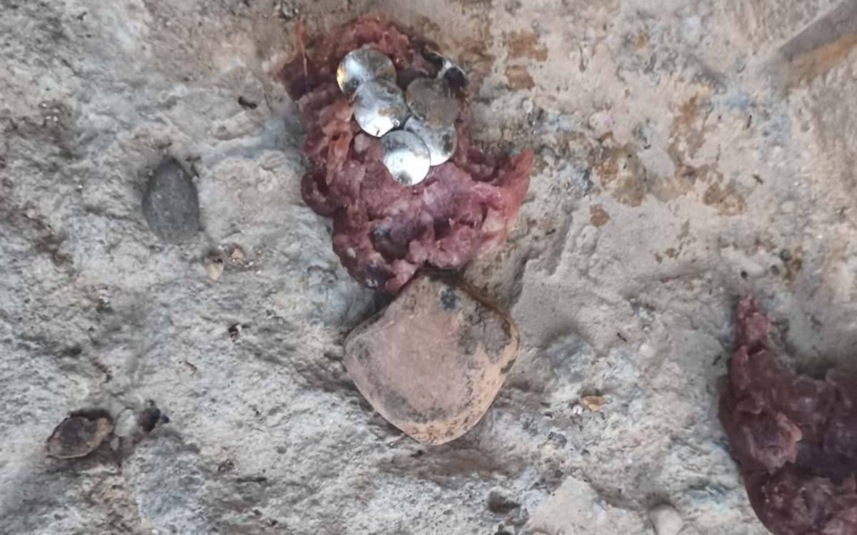 Troben boles de carn amb xinxetes amagades en un espai per a gossos a Valls