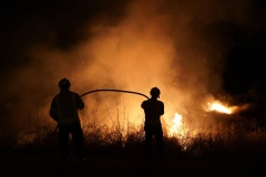 Prevenció, acció i vigilància: l'escut invisible que frena el foc