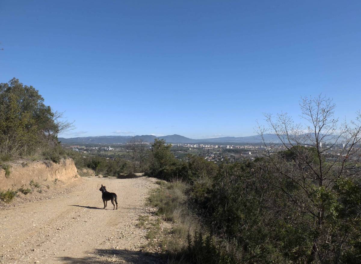 Serra de Galliners - Serra de Galliners