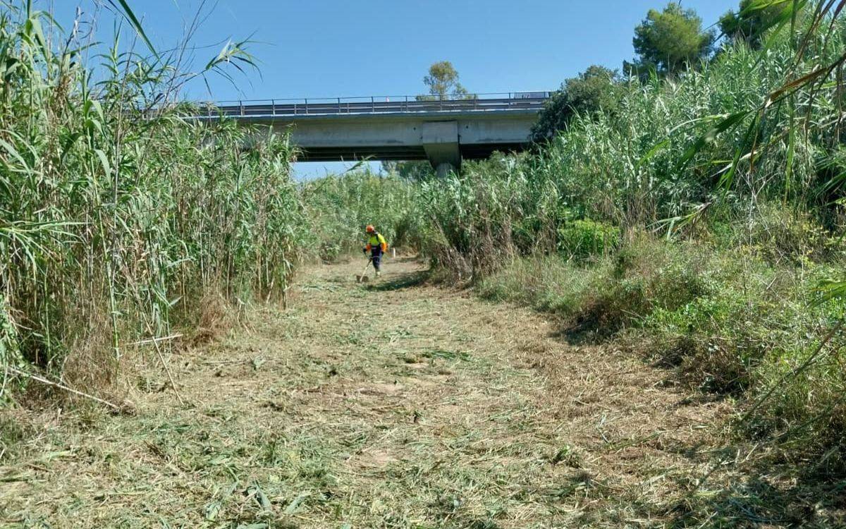 Tarragona desbrossa més de 15 quilòmetres de camins per garantir-ne l'accessibilitat aquest estiu
