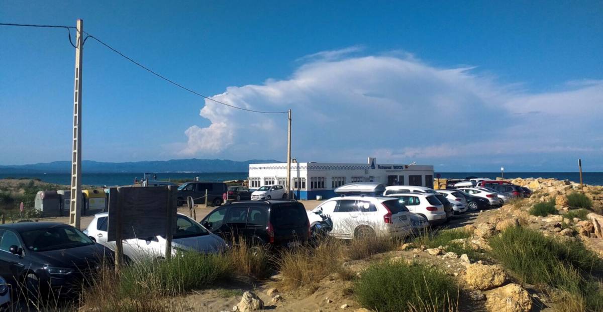 La URV proposa un bus circular per reduir l’ús del cotxe al delta de l’Ebre