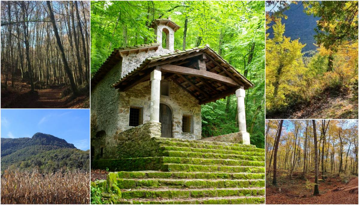 Entre faigs i silenci: l’ermita romànica més amagada de la Garrotxa