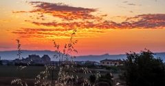 Catalunya afronta la segona onada de calor: quan i on s'assoliran temperatures extremes?