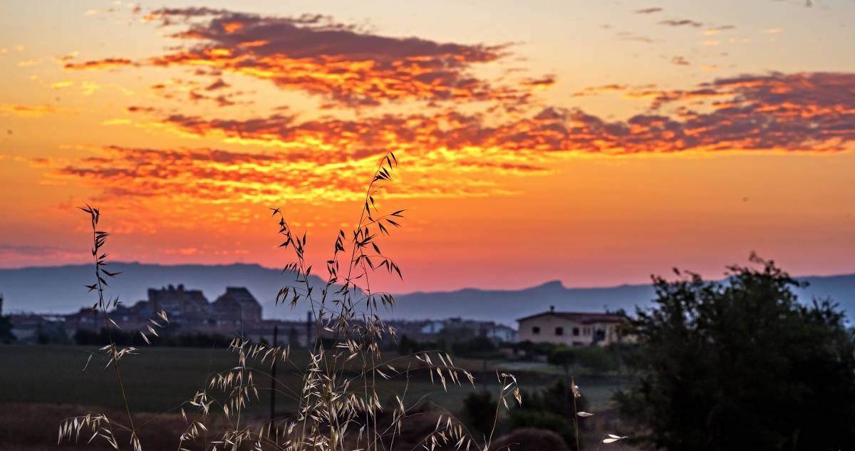 Catalunya afronta la segona onada de calor: quan i on s'assoliran temperatures extremes?