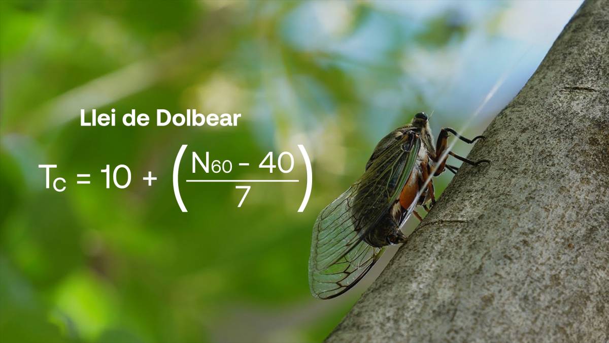 La llei que permet calcular la temperatura a partir del cant dels grills i les cigales - La llei que permet calcular la temperatura a partir del cant dels grills i les cigales