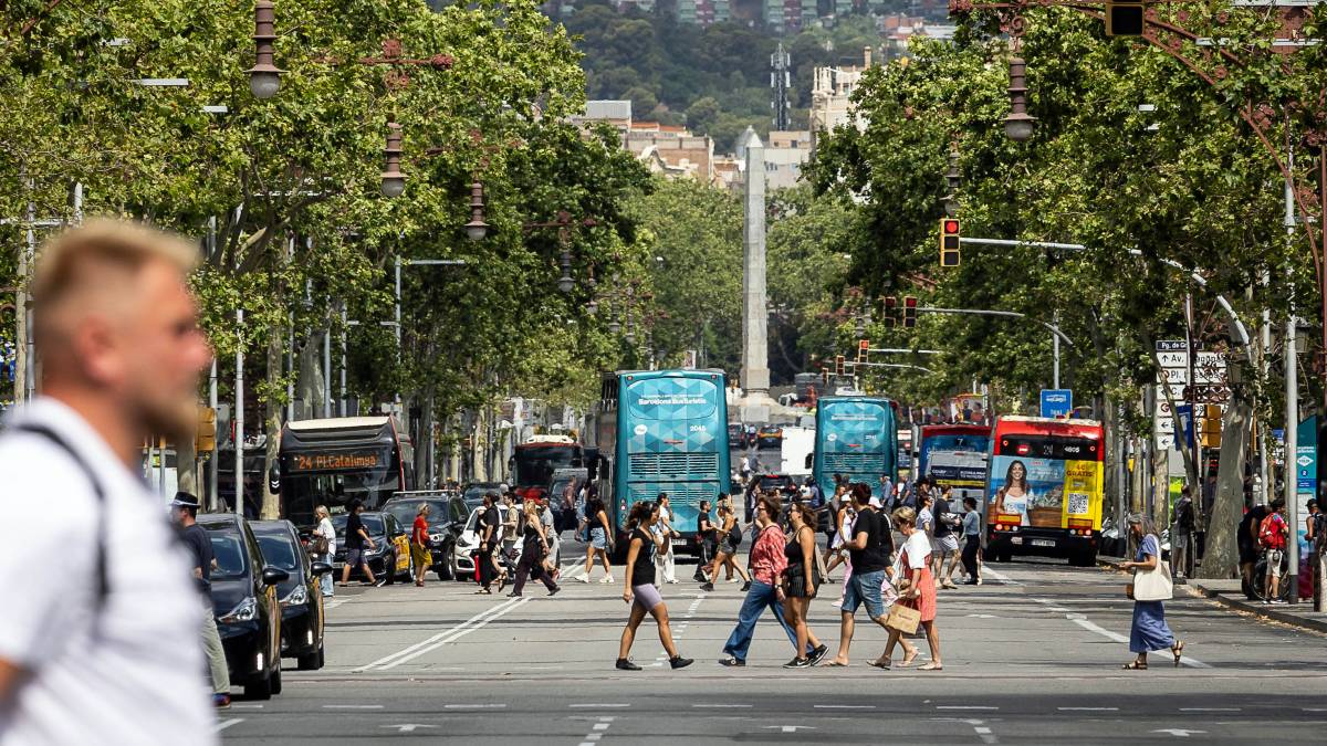 Catalunya arriba als 8,16 milions d'habitants, un nou rècord de població