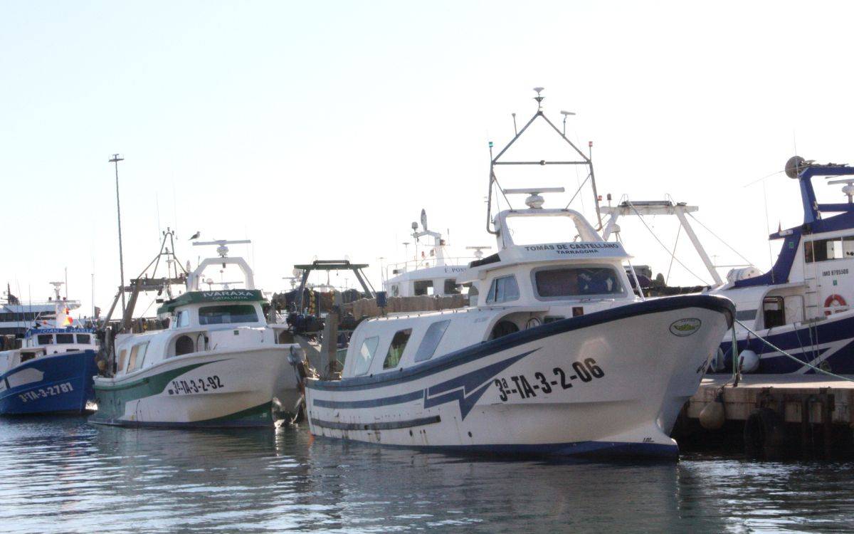 Armadors i mariners de la flota de peix blau de Tarragona arriben a un acord i tornen a pescar
