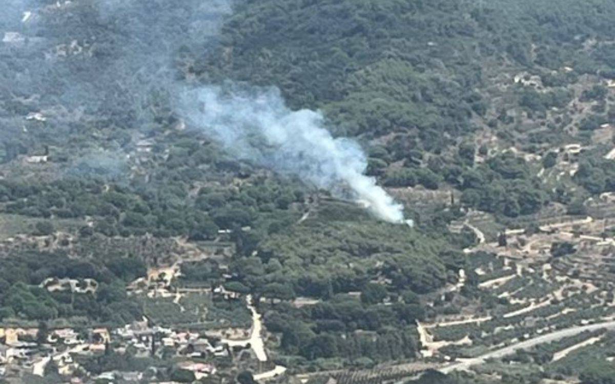 Una dotzena de dotacions treballen en un incendi forestal a Alforja