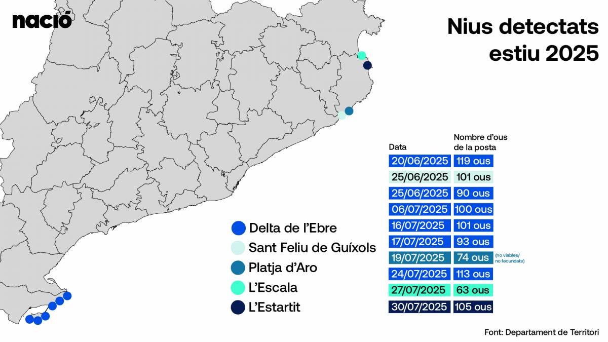 Mapa dels nius de tortuga careta de l`estiu 2025